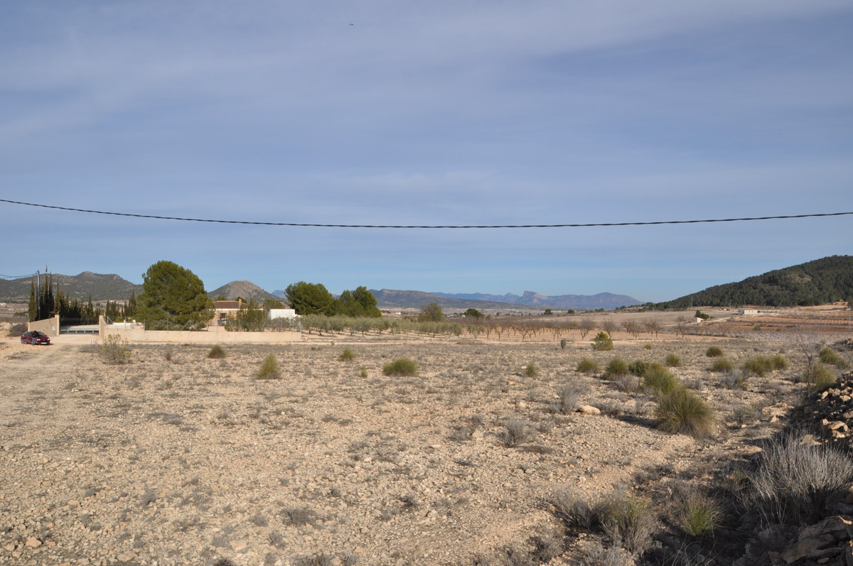Se vende Terreno Rustico  en Costa Blanca, Alicante, España