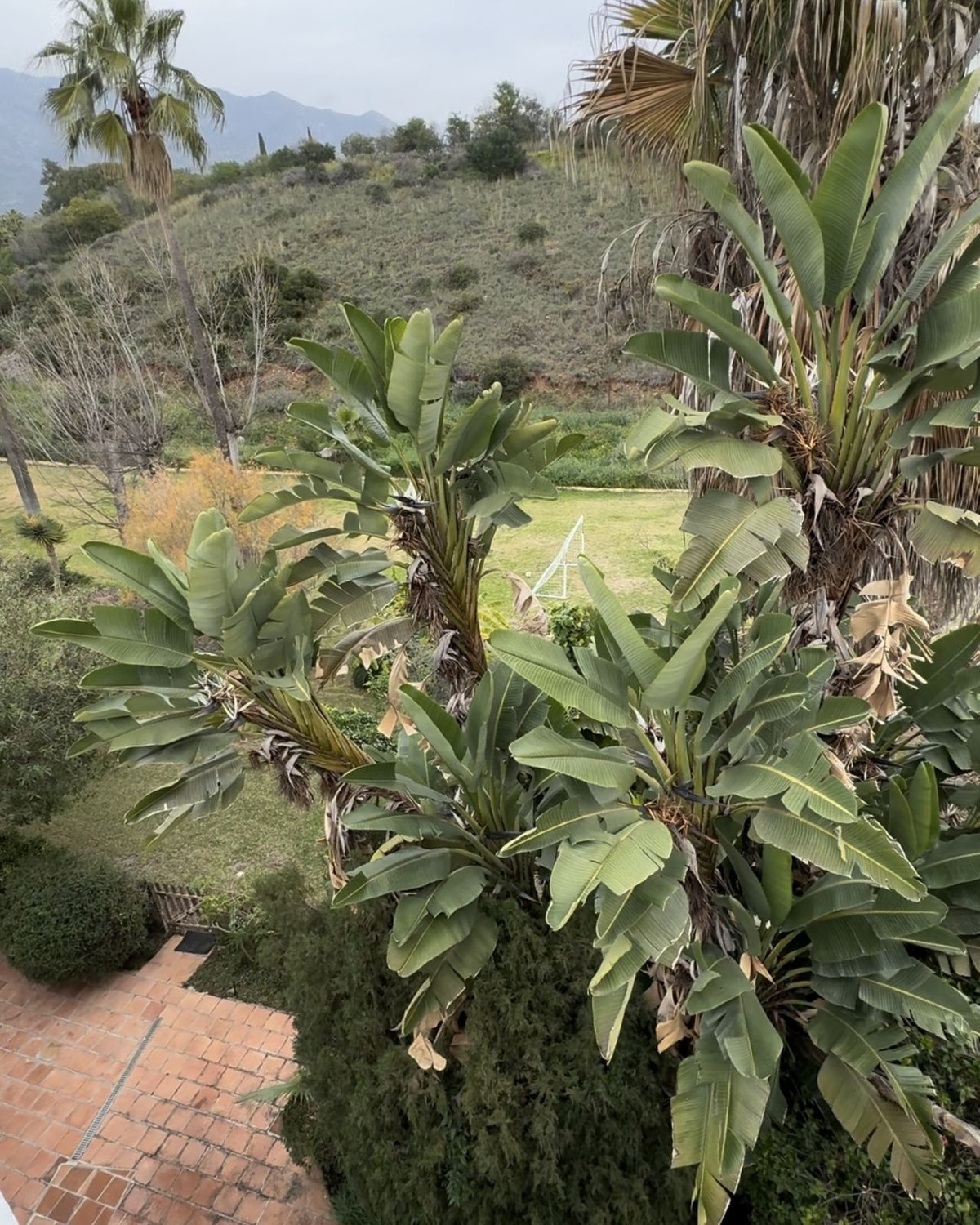 5 Bed Townhouse for sale in Marbella Costa Del Sol, Málaga, Spain