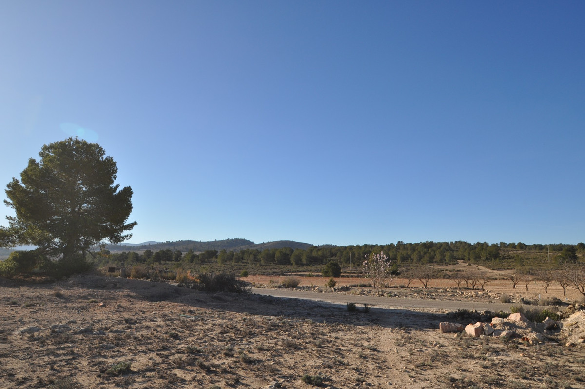 Se vende Terreno Rustico  en Costa Blanca, Alicante, España