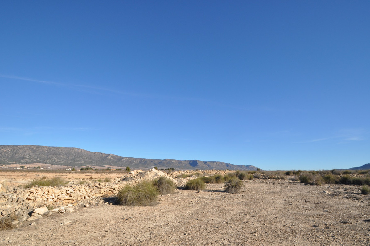 Se vende Terreno Rustico  en Costa Blanca, Alicante, España
