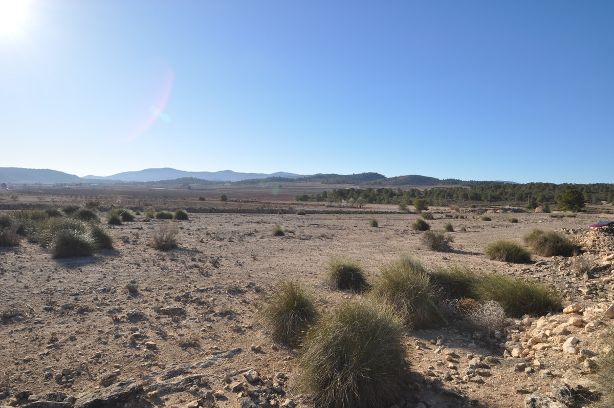 Se vende Terreno Rustico  en Costa Blanca, Alicante, España
