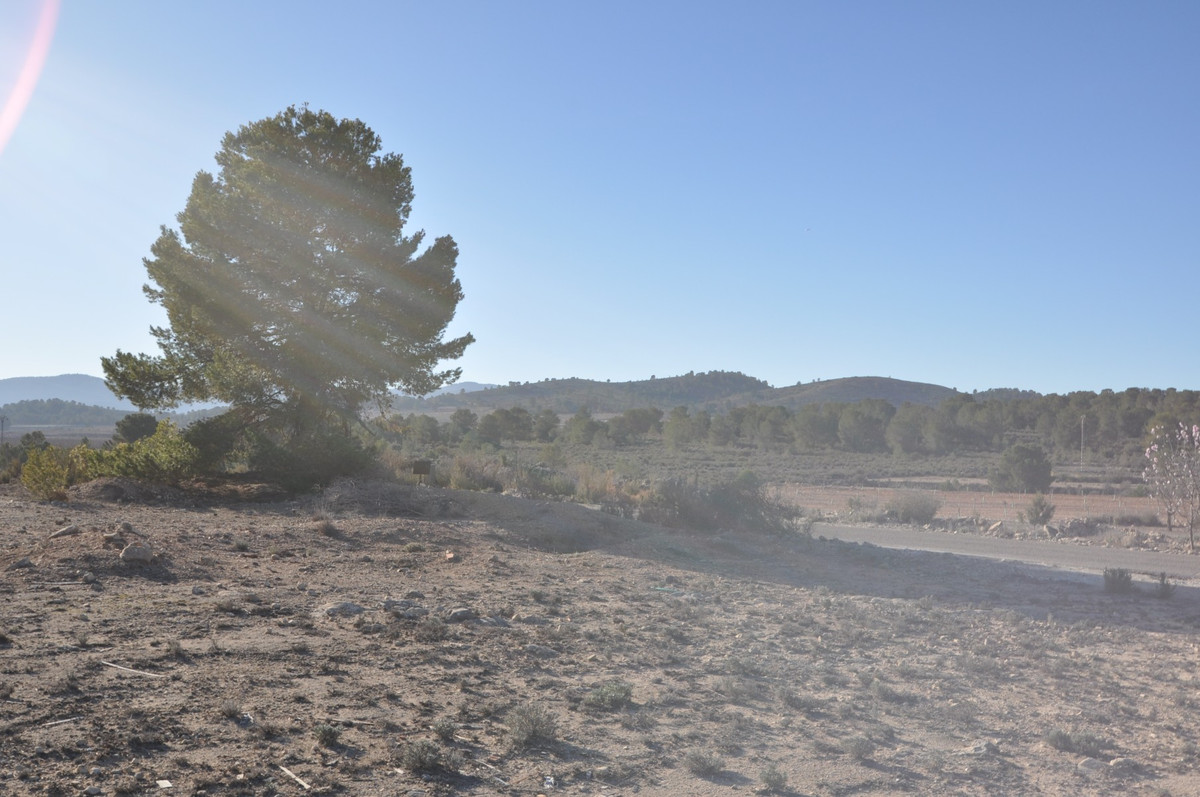 Se vende Terreno Rustico  en Costa Blanca, Alicante, España
