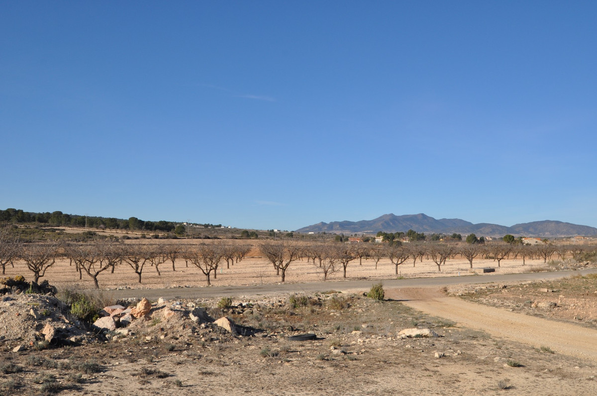 Se vende Terreno Rustico  en Costa Blanca, Alicante, España