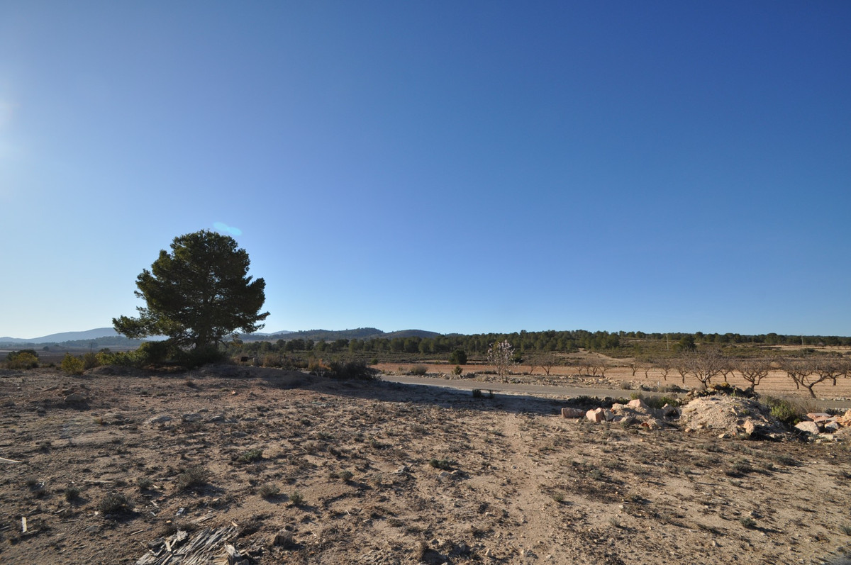 Se vende Terreno Rustico  en Costa Blanca, Alicante, España