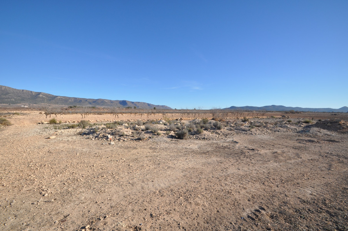 Se vende Terreno Rustico  en Costa Blanca, Alicante, España