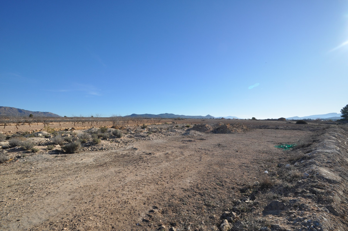 Se vende Terreno Rustico  en Costa Blanca, Alicante, España