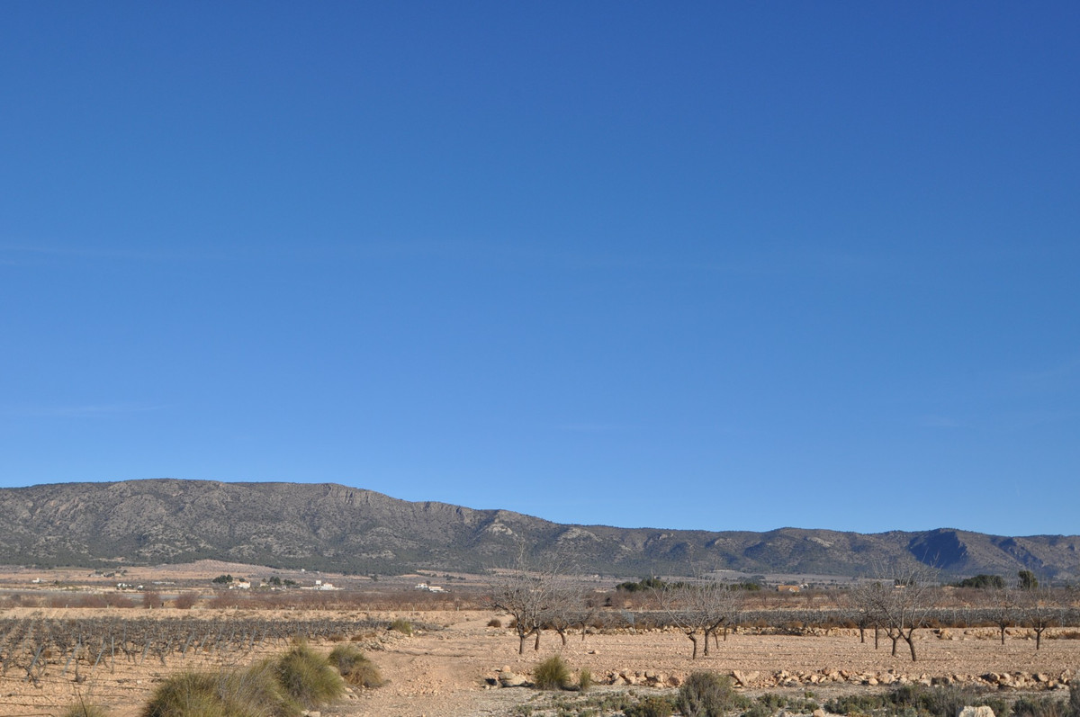 Se vende Terreno Rustico  en Costa Blanca, Alicante, España