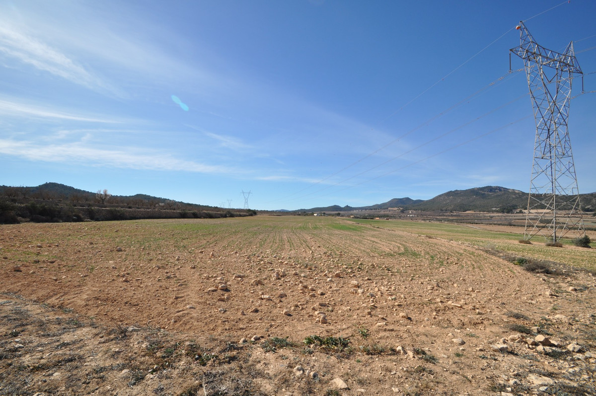 Se vende Terreno Rustico  en Costa Blanca, Alicante, España