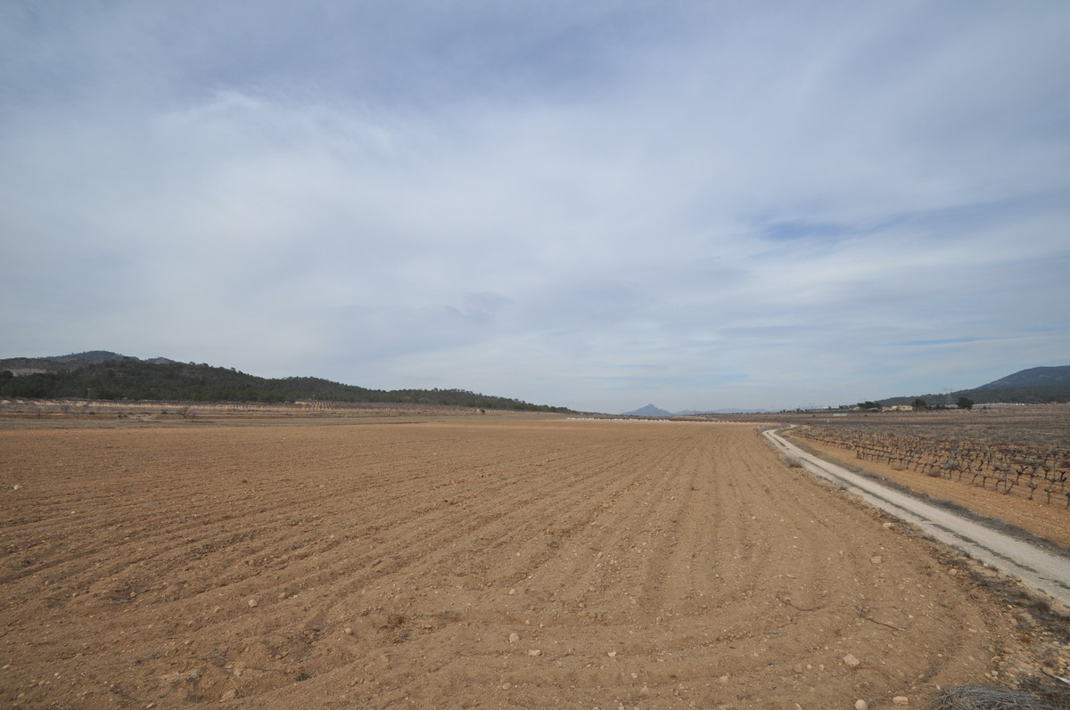 Se vende Terreno Rustico  en Costa Blanca, Alicante, España