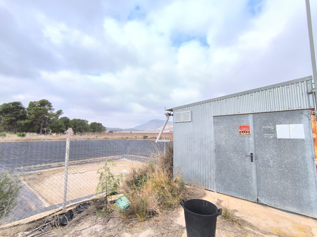 Commercial unit for sale in Aspe Costa Blanca, Alicante, Spain