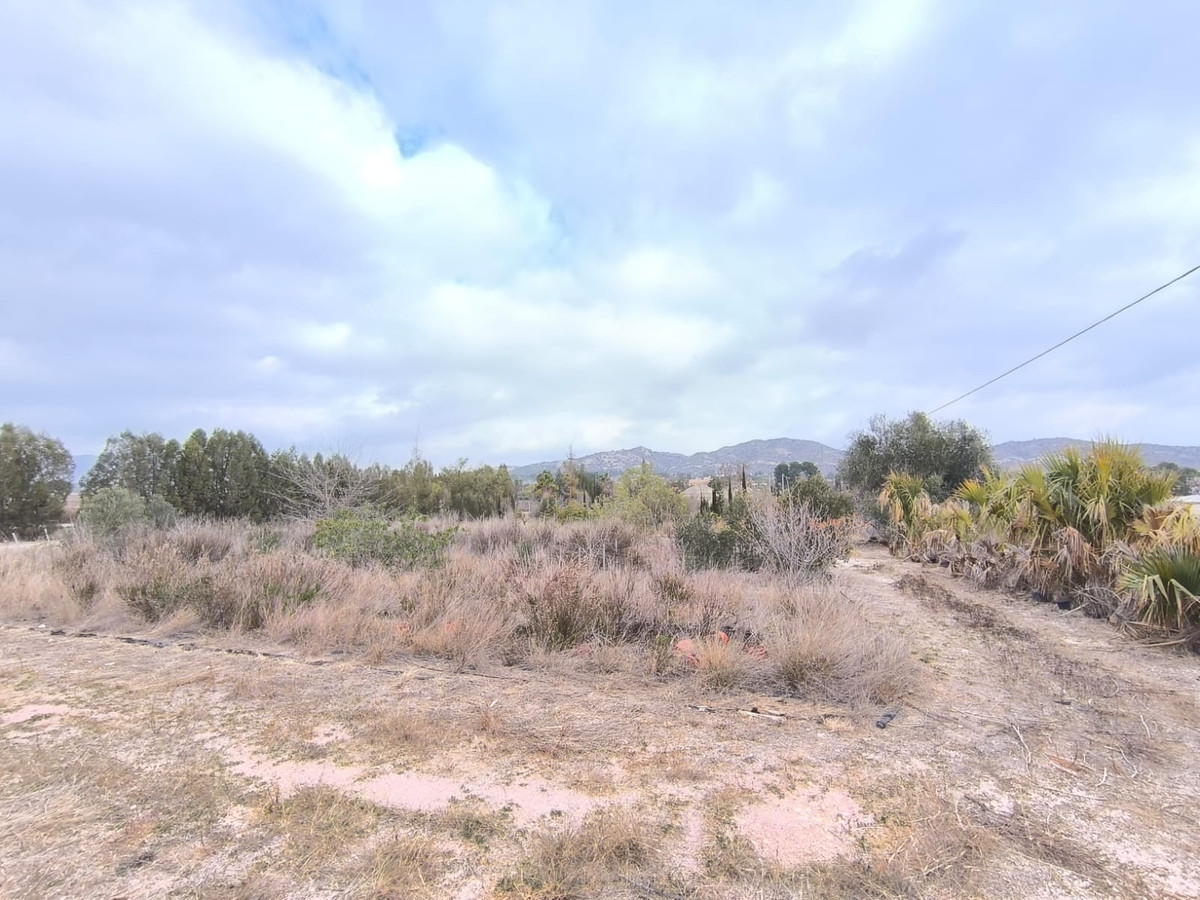 Commercial unit for sale in Aspe Costa Blanca, Alicante, Spain