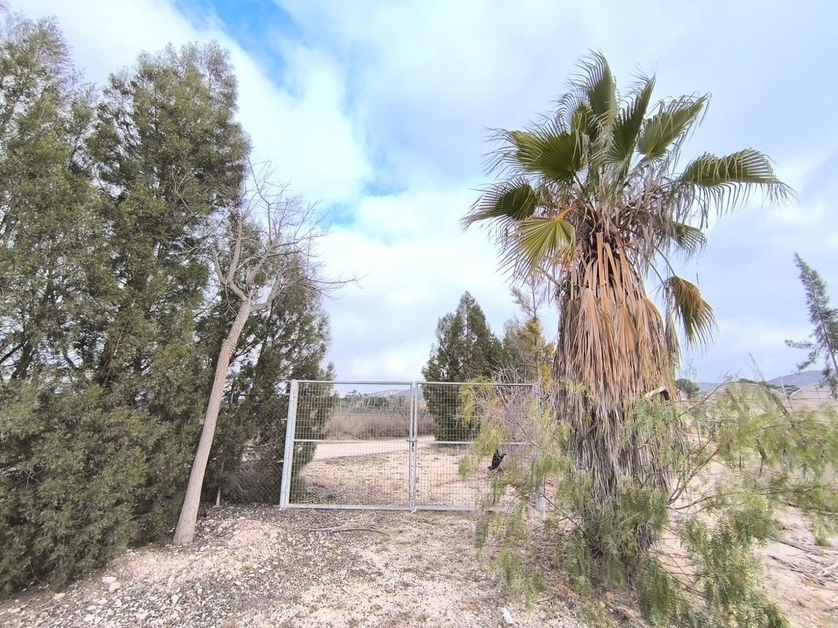 Commercial unit for sale in Aspe Costa Blanca, Alicante, Spain
