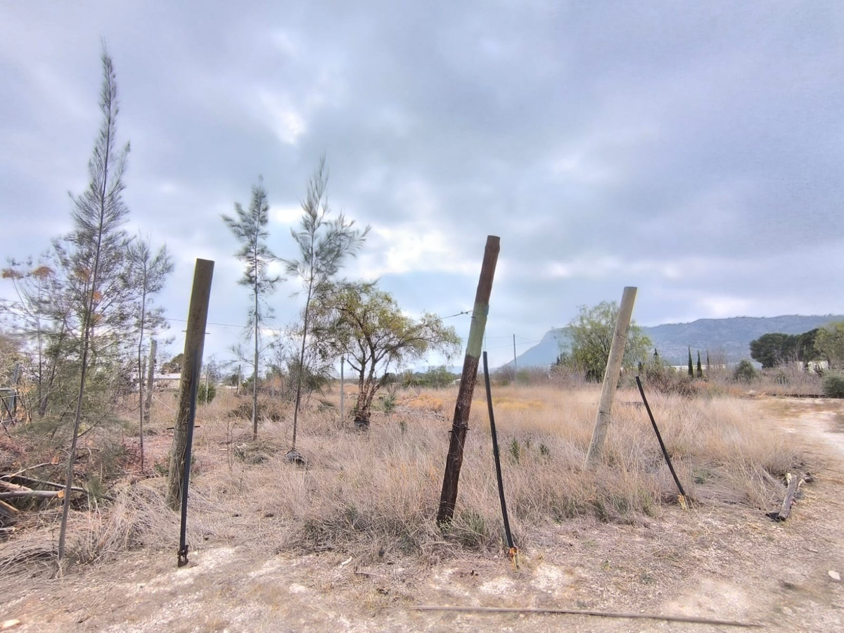 Commercial unit for sale in Aspe Costa Blanca, Alicante, Spain