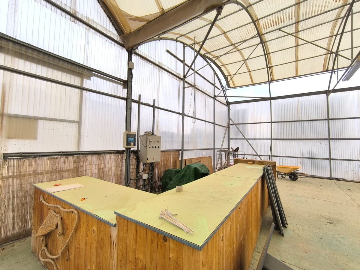 Commercial unit for sale in Aspe Costa Blanca, Alicante, Spain