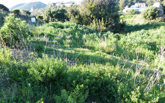 Plots for sale in Benalmadena Pueblo Costa Del Sol, Málaga, Spain
