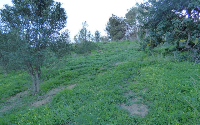 Plots for sale in Benalmadena Pueblo Costa Del Sol, Málaga, Spain