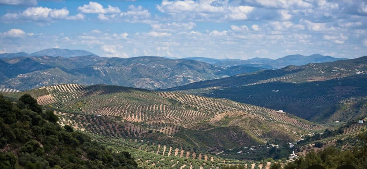 Plots for sale in Antequera Costa Del Sol, Málaga, Spain