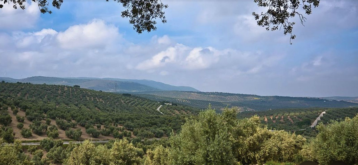 Plots for sale in Antequera Costa Del Sol, Málaga, Spain