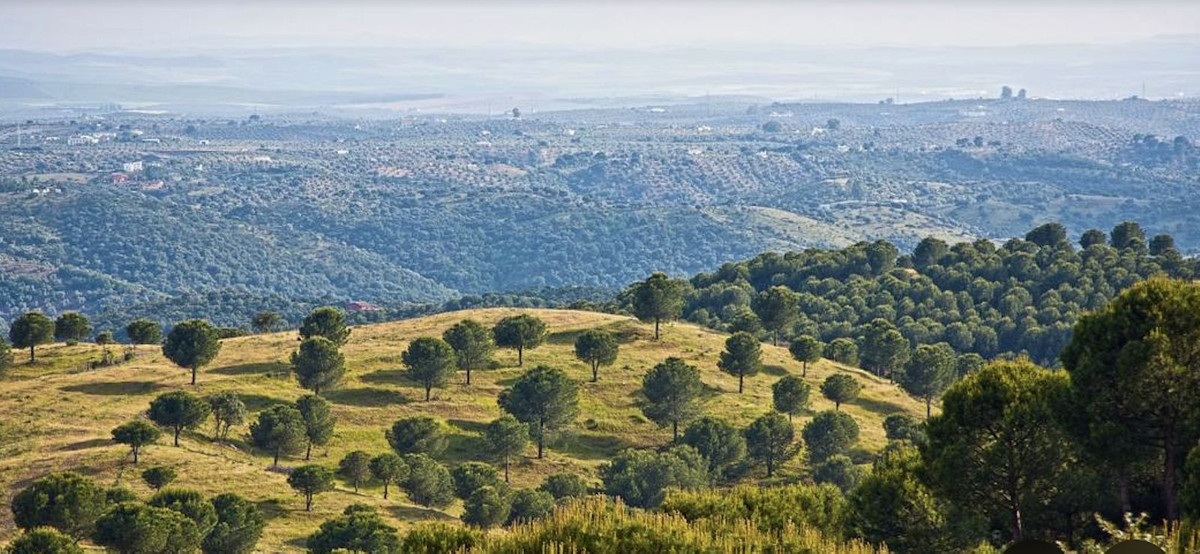 Plots for sale in Antequera Costa Del Sol, Málaga, Spain