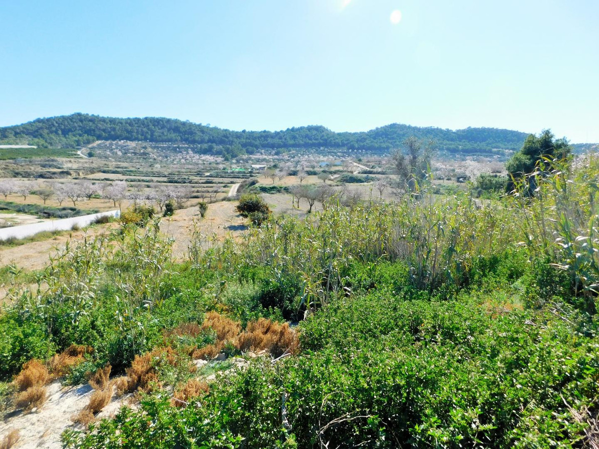 Se vende Finca - Cortijo de 3 dormitorios en Costa Blanca, Alicante, España