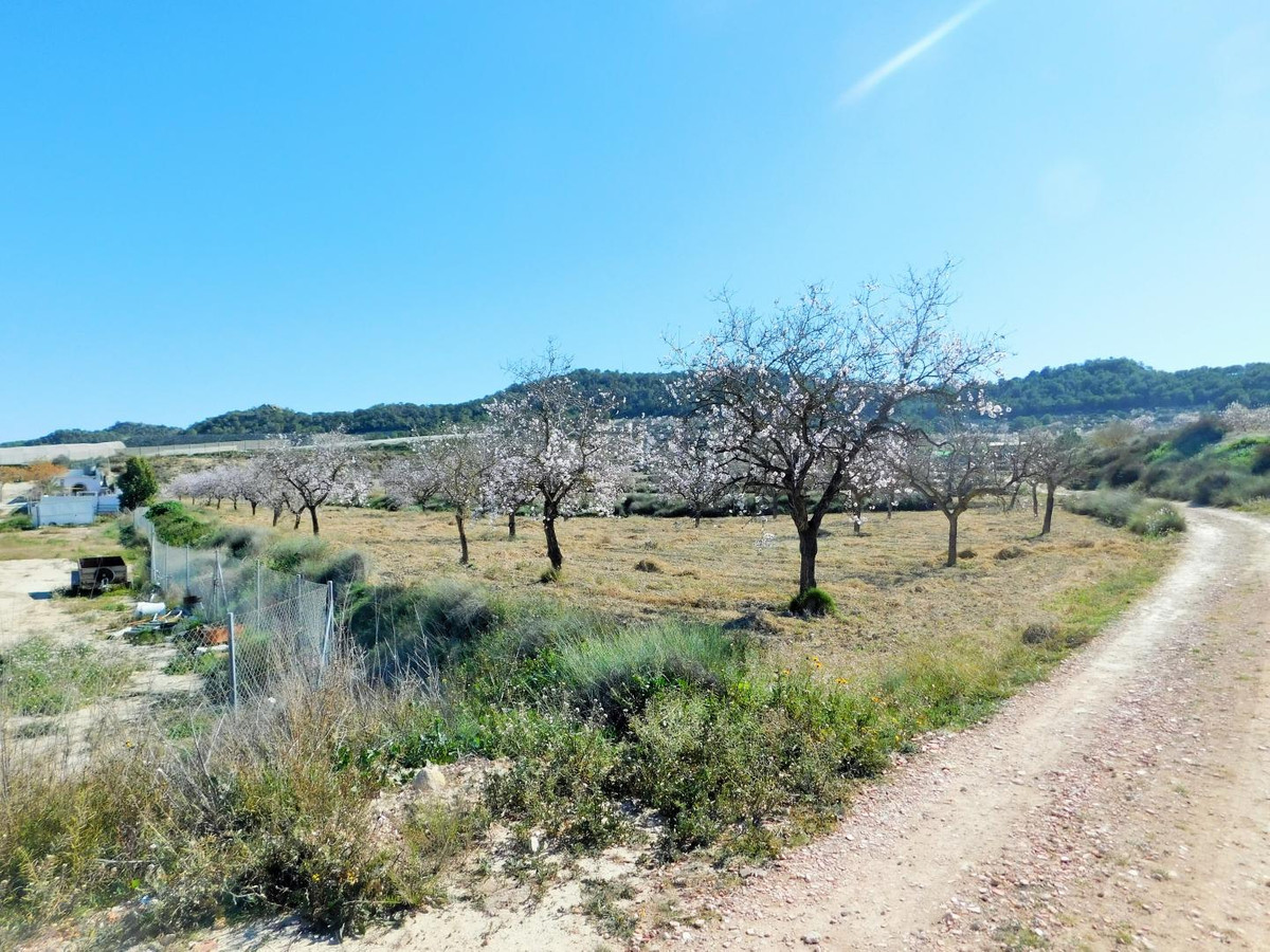 Se vende Finca - Cortijo de 3 dormitorios en Costa Blanca, Alicante, España