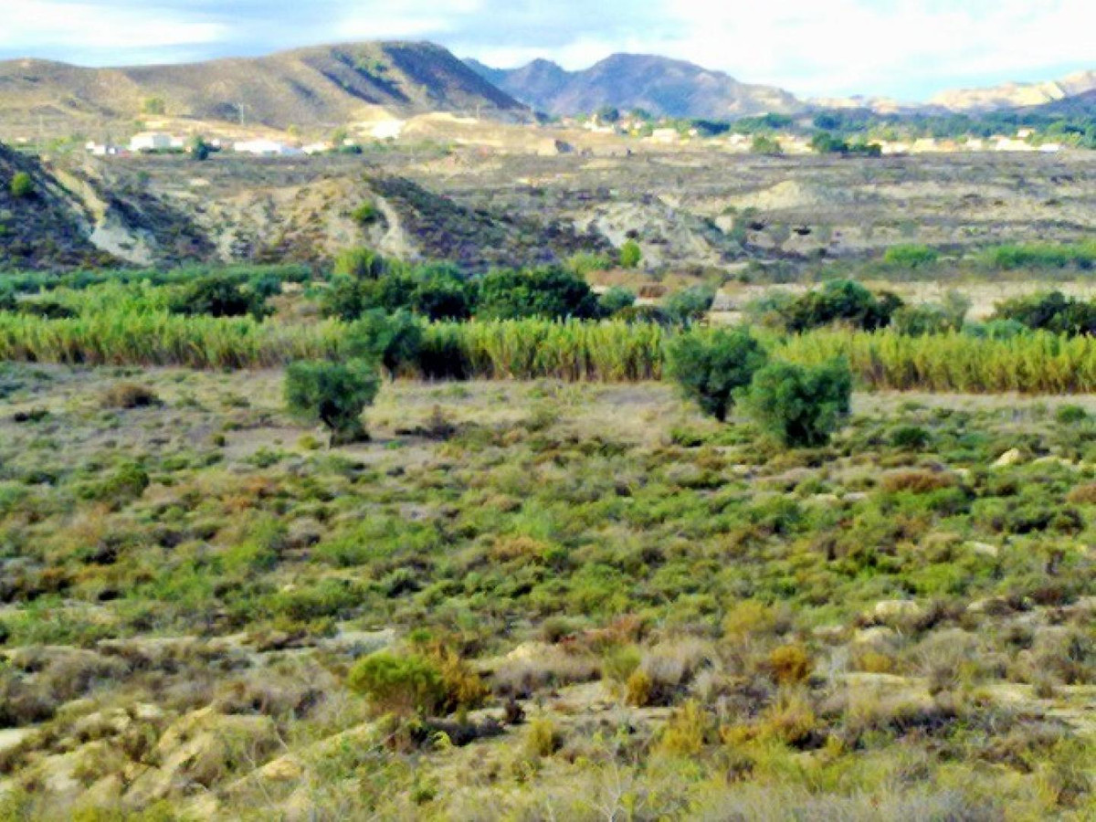 Se vende Terreno Rustico  en Costa Blanca, Alicante, España
