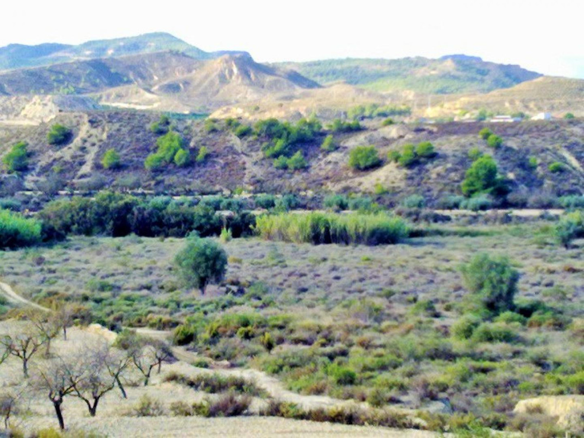 Se vende Terreno Rustico  en Costa Blanca, Alicante, España