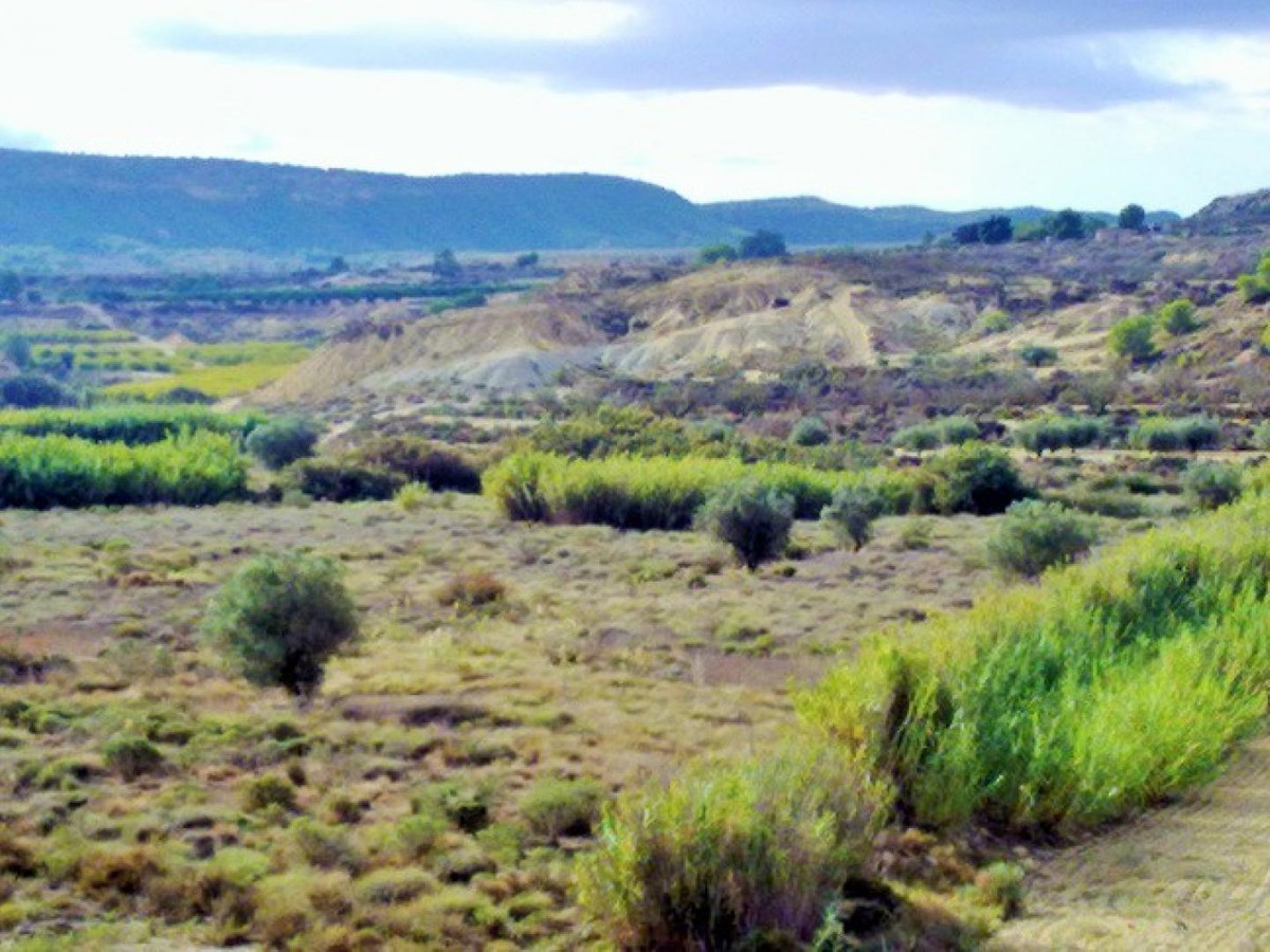 Se vende Terreno Rustico  en Costa Blanca, Alicante, España