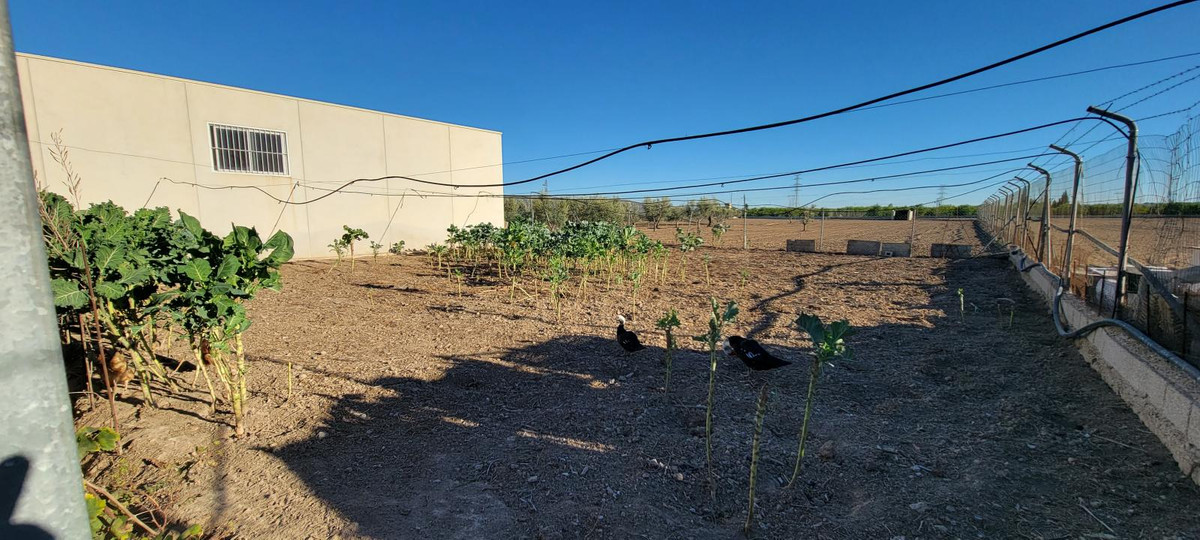 Se vende Finca - Cortijo de 1 dormitorios en Costa Blanca, Alicante, España