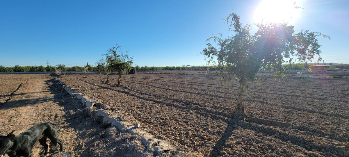 Se vende Finca - Cortijo de 1 dormitorios en Costa Blanca, Alicante, España