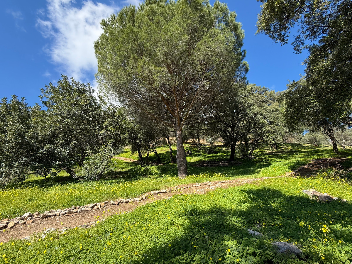 Plots for sale in Casares Costa Del Sol, Málaga, Spain
