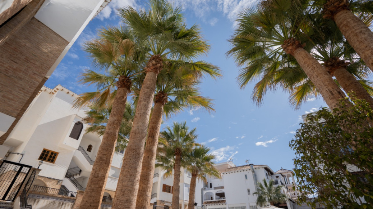 Se vende Apartamento Planta Baja de 1 dormitorios en Costa Blanca, Alicante, España