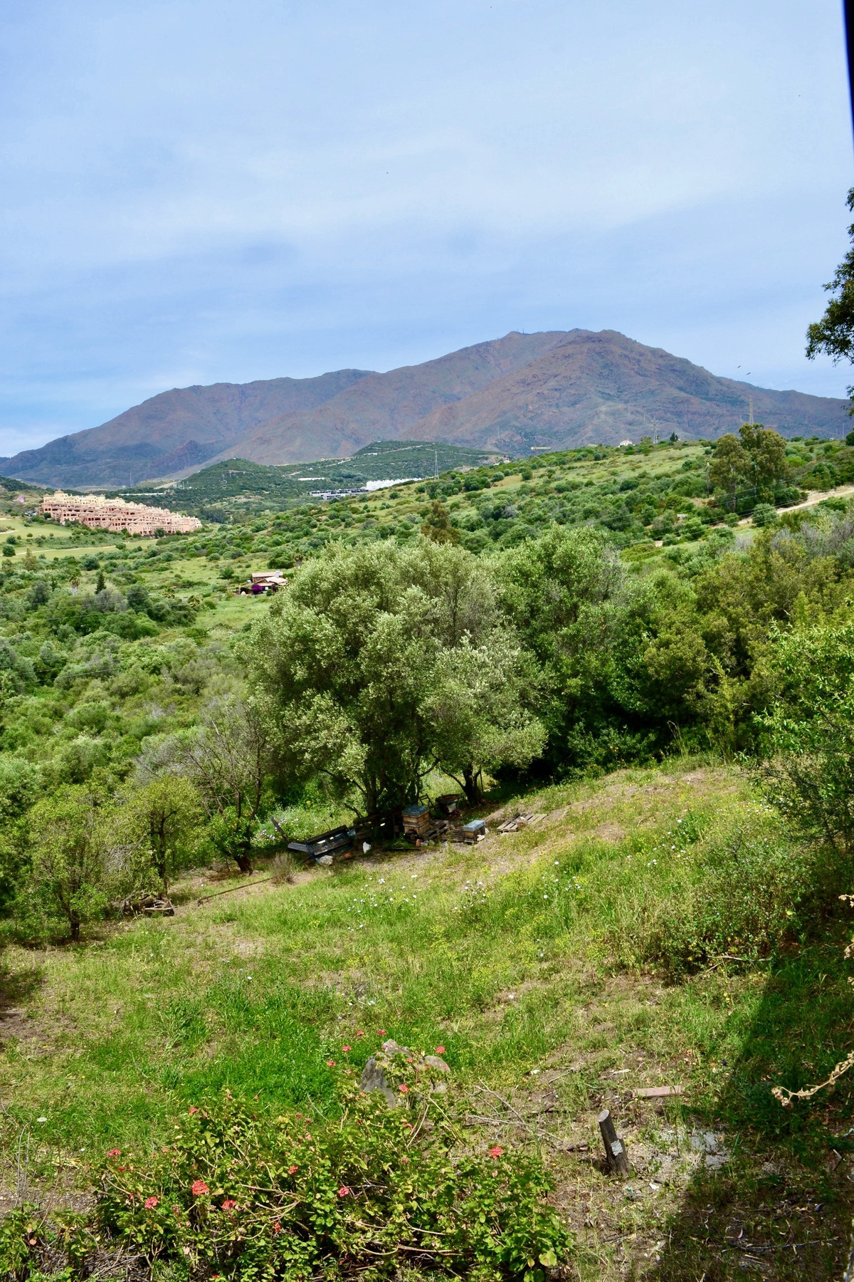 Plots for sale in Estepona Costa Del Sol, Málaga, Spain