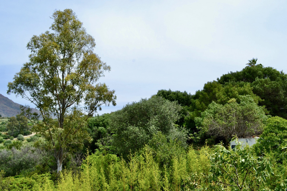 Plots for sale in Estepona Costa Del Sol, Málaga, Spain