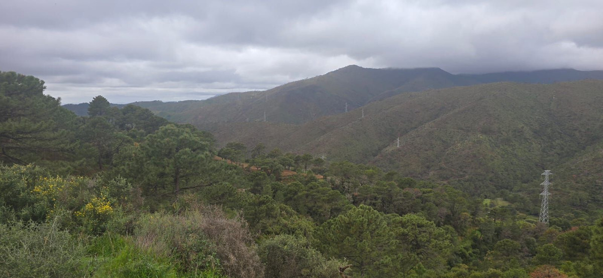 Se vende Terreno Rustico  en Costa Del Sol, Málaga, España