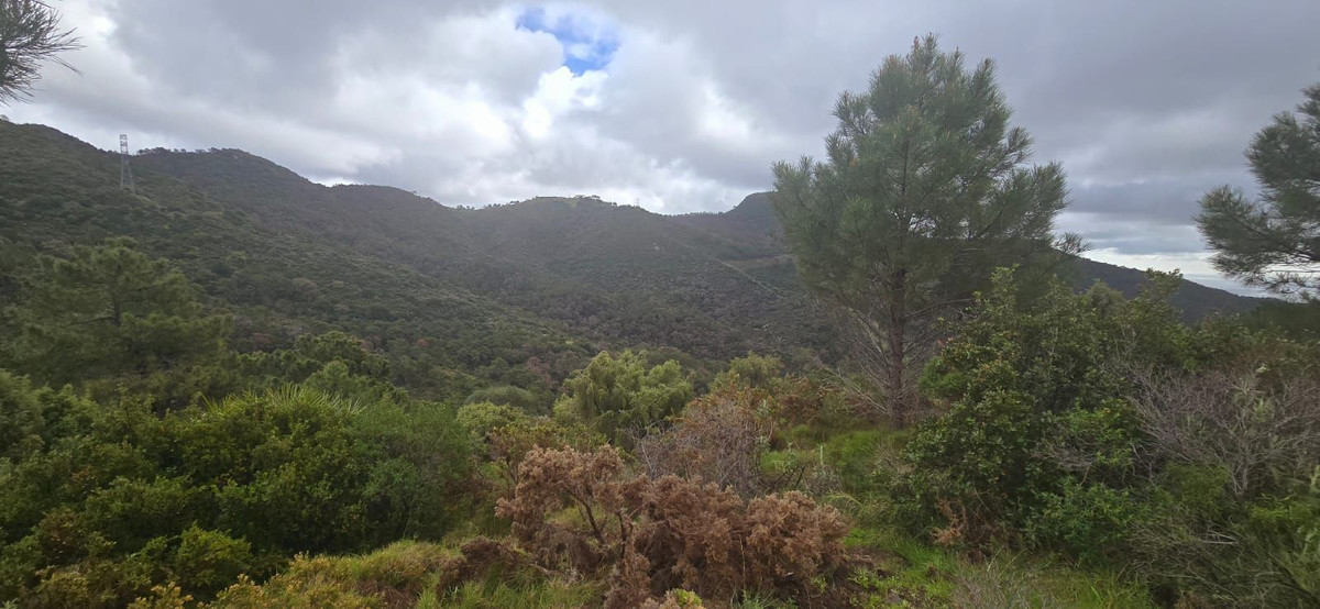 Se vende Terreno Rustico  en Costa Del Sol, Málaga, España