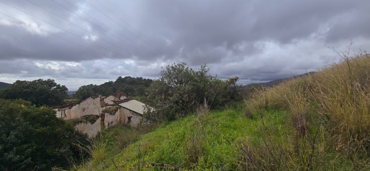 Se vende Terreno Rustico  en Costa Del Sol, Málaga, España
