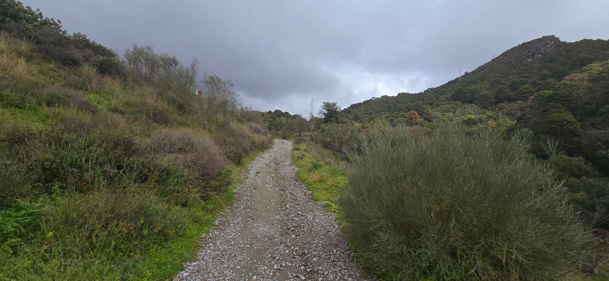 Se vende Terreno Rustico  en Costa Del Sol, Málaga, España