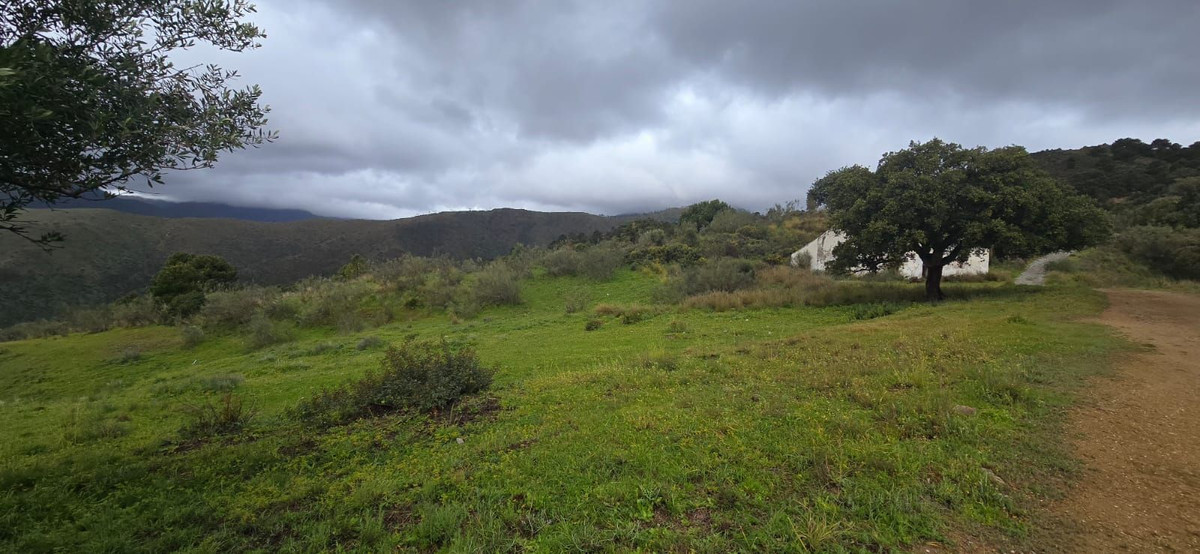 Se vende Terreno Rustico  en Costa Del Sol, Málaga, España