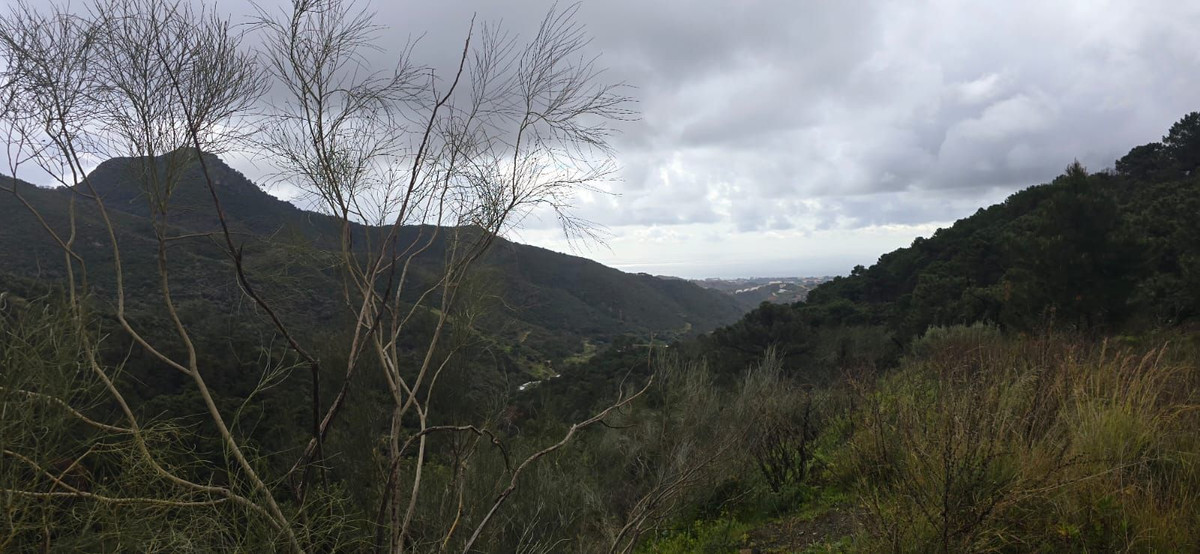 Se vende Terreno Rustico  en Costa Del Sol, Málaga, España