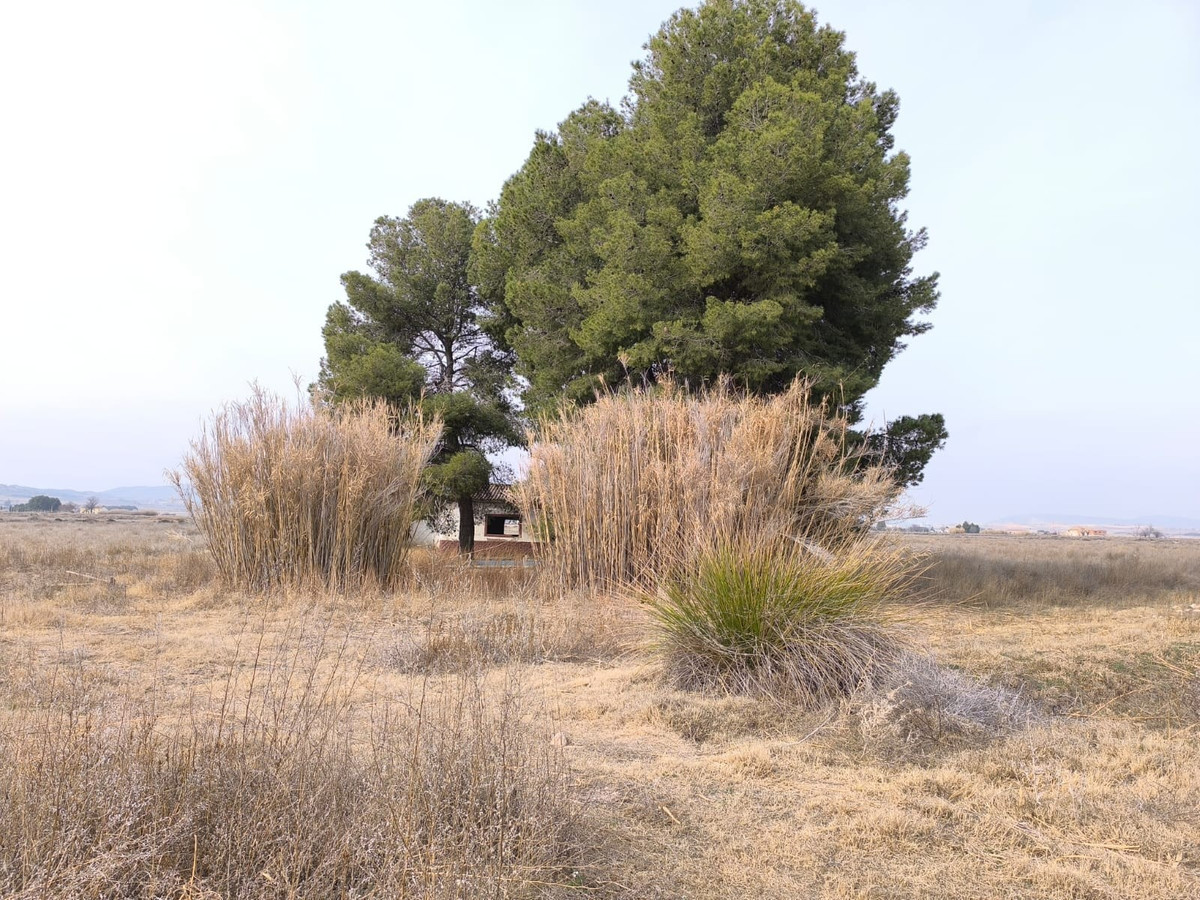 Se vende Terreno con Ruina de 2 dormitorios en Costa Blanca, Alicante, España
