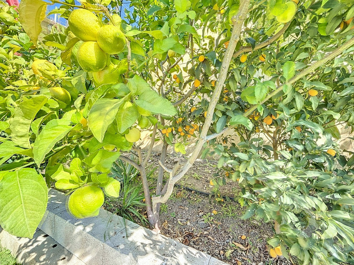 Se vende Villa - Chalet de 3 dormitorios en Costa Del Sol East, Málaga, España