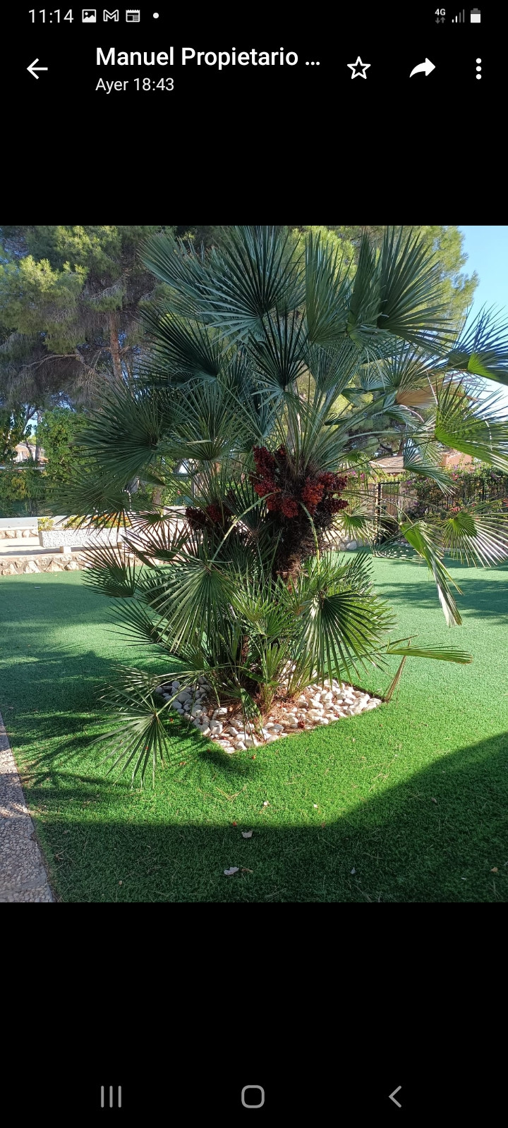 Se vende Villa - Chalet de 6 dormitorios en Costa Blanca, Alicante, España