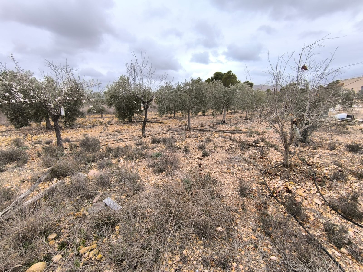 2 Bed Townhouse for sale in La Romana Costa Blanca, Alicante, Spain