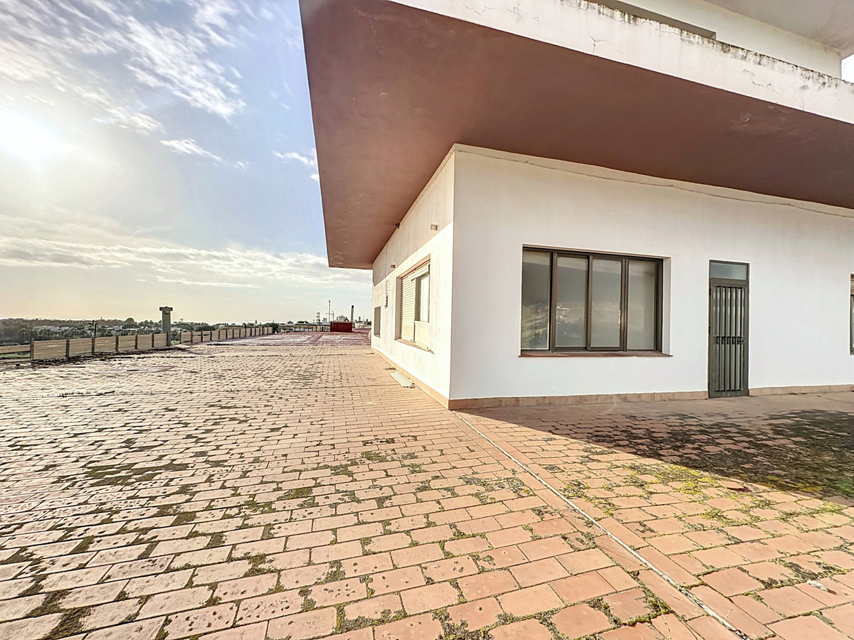 Commercial unit for sale in Cancelada Costa Del Sol, Málaga, Spain
