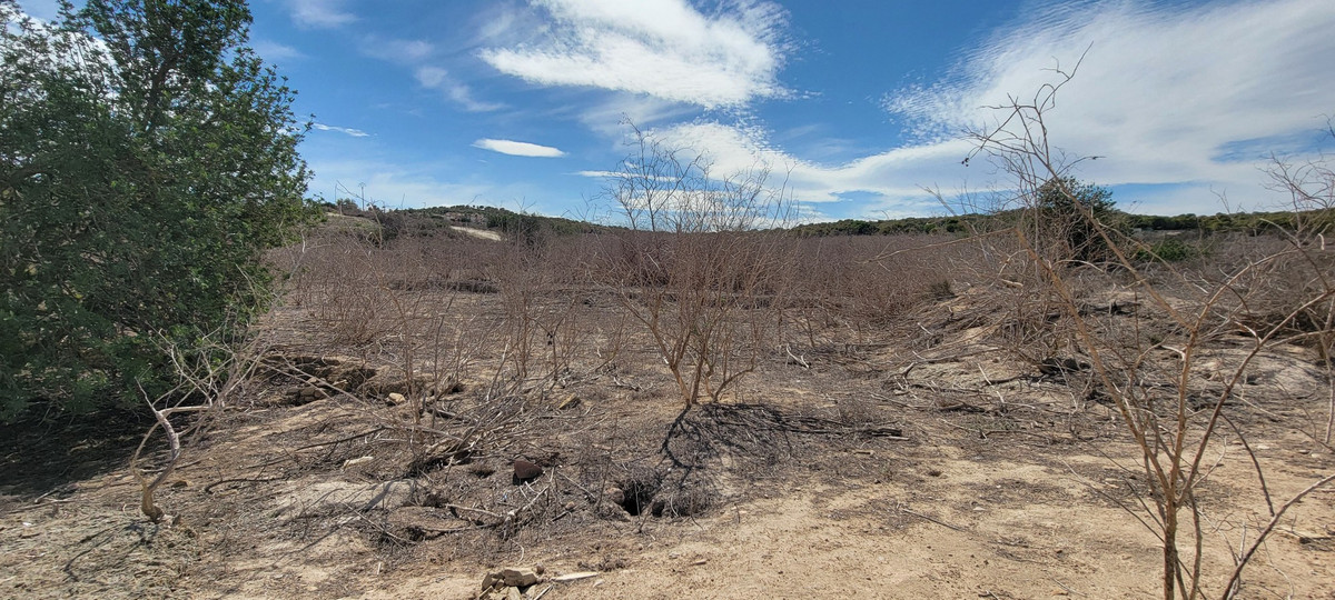 Se vende Finca - Cortijo de 1 dormitorios en Costa Blanca, Alicante, España