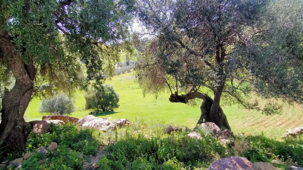 Se vende Finca - Cortijo de 2 dormitorios en Costa Del Sol, Málaga, España