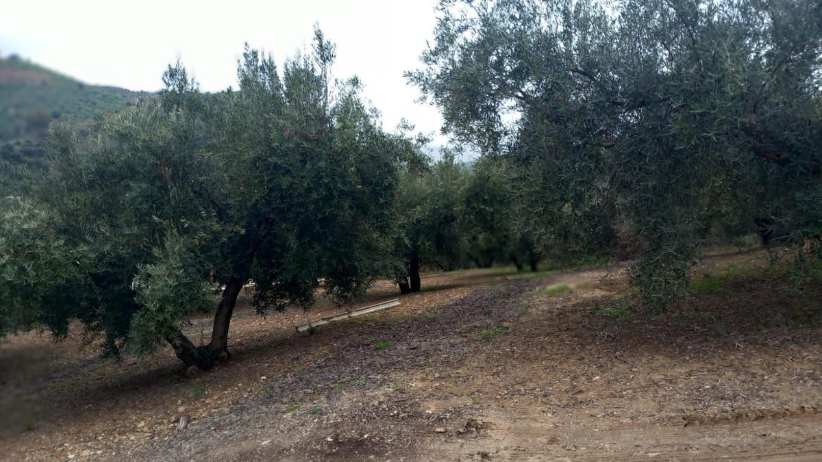 Se vende Finca - Cortijo de 3 dormitorios en Costa Del Sol East, Málaga, España