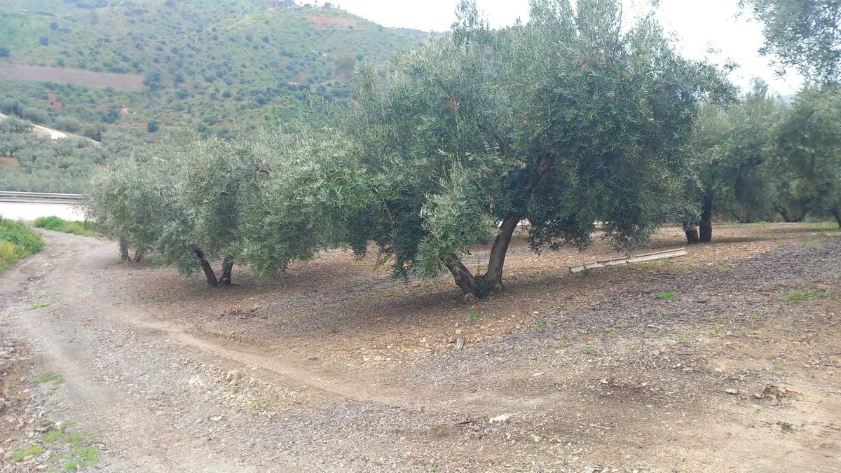 Se vende Finca - Cortijo de 3 dormitorios en Costa Del Sol East, Málaga, España