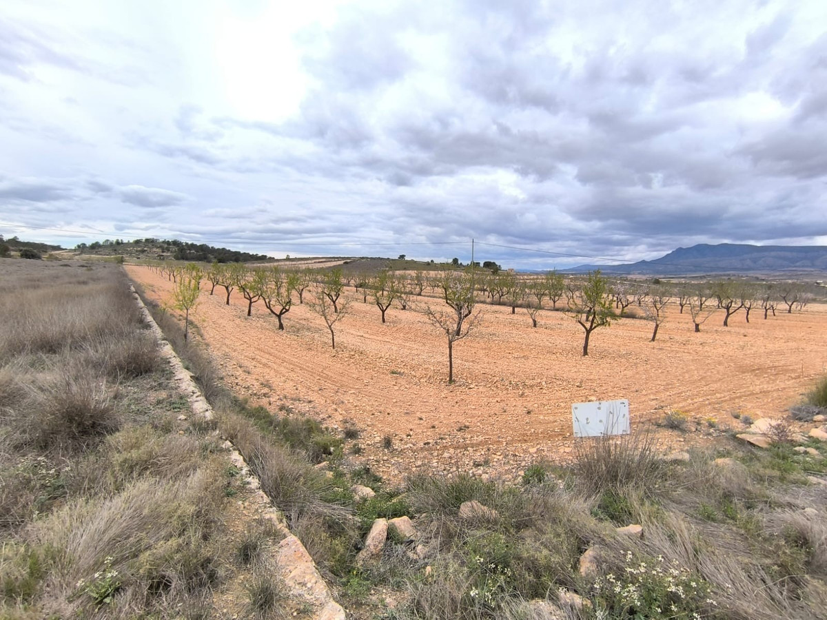 Se vende Terreno Rustico  en Costa Blanca, Alicante, España